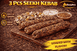 3 Pcs Seekh Kebab